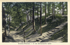 12141 Gezicht in het bos van de Zwitserse Vallei op de Grebbeberg te Grebbe bij Rhenen.
